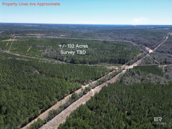 00 Robinsonville Road, Atmore, AL 36502