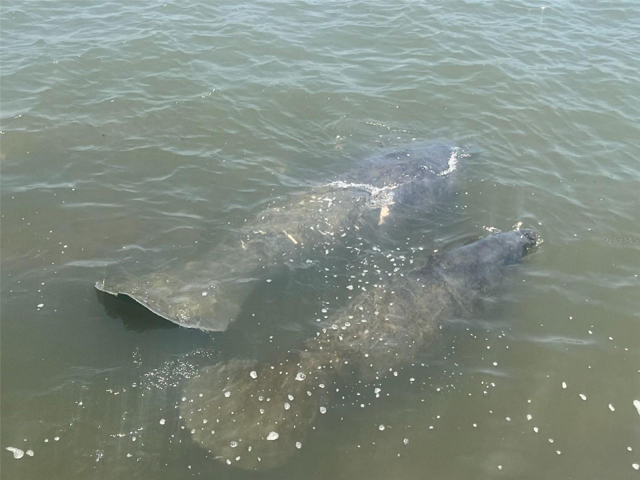 101 N Riverside Drive, Unit 7070, New Smyrna Beach, FL 32168 Photo