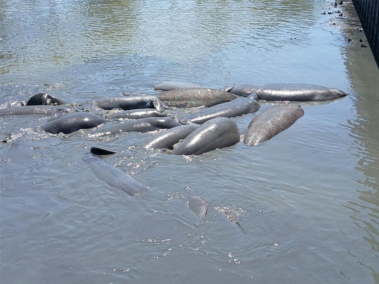 101 N Riverside Drive, Unit 7070, New Smyrna Beach, FL 32168 Photo