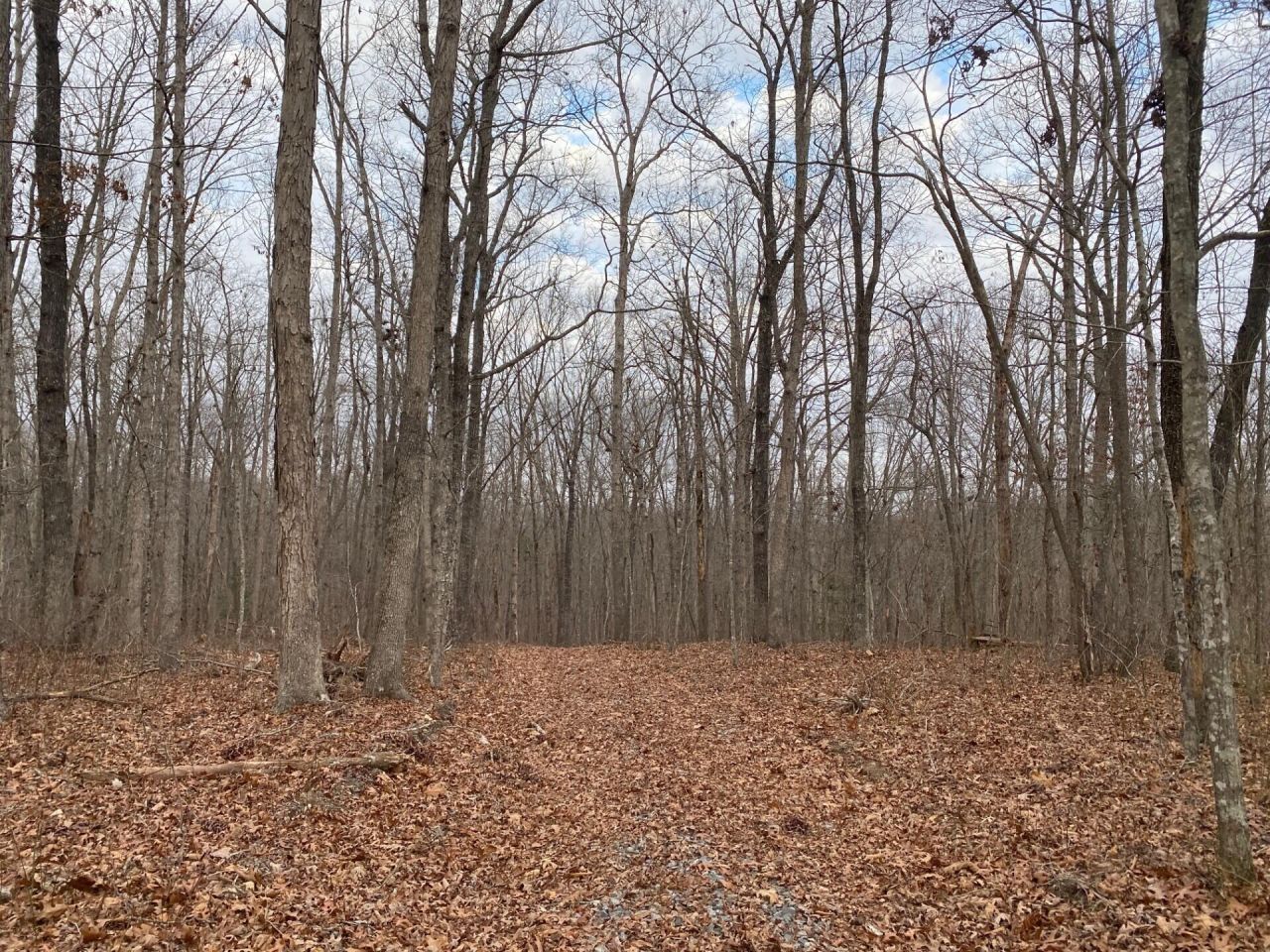 Lot 11 Green Forest, Dunlap, TN 37327 Main Photo