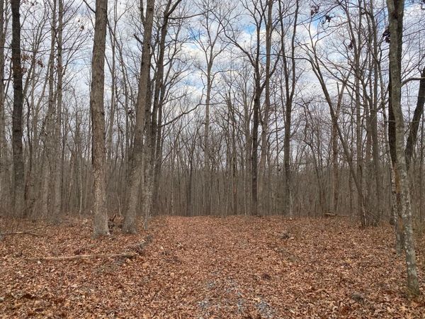 Lot 11 Green Forest, Dunlap, TN 37327