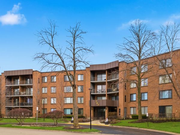 263 S Clubhouse Drive S, Unit 304, Palatine, IL 60074