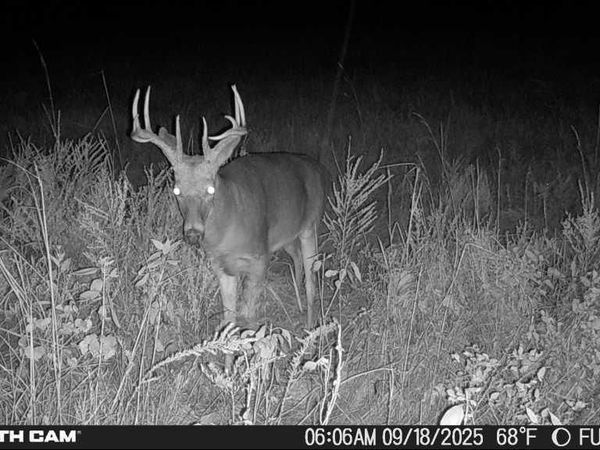 2715 Kelly Road, Mapleton, KS 66754