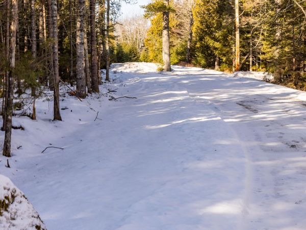 10-4M Forest Hill , Surry, ME 04684