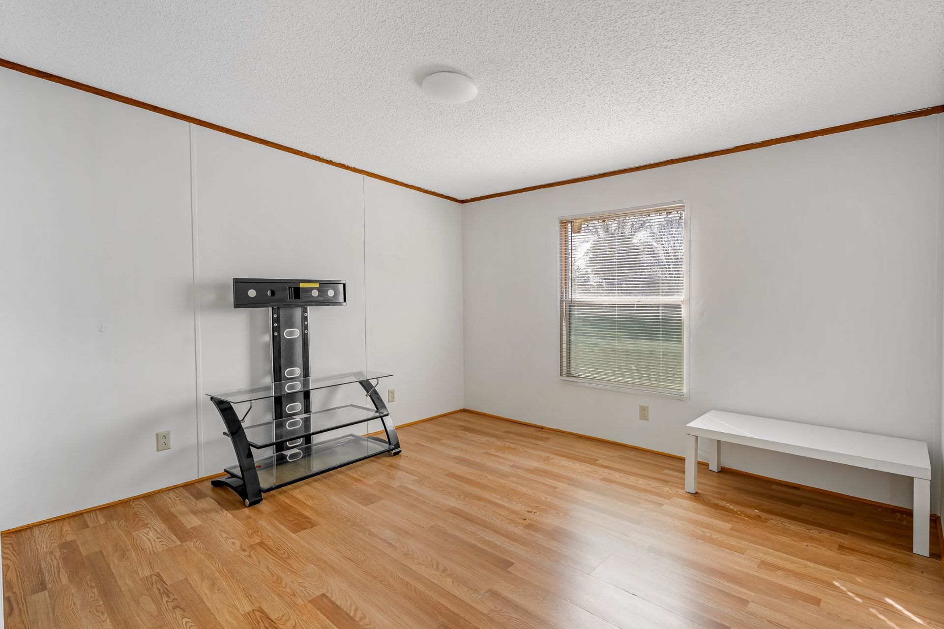 107 Rockdale St. Photo 13