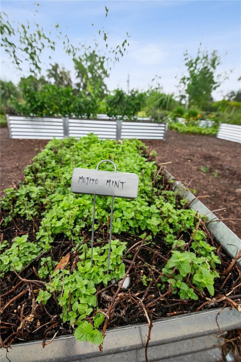 6023 SW 124th Way, Archer, FL 32618 Photo