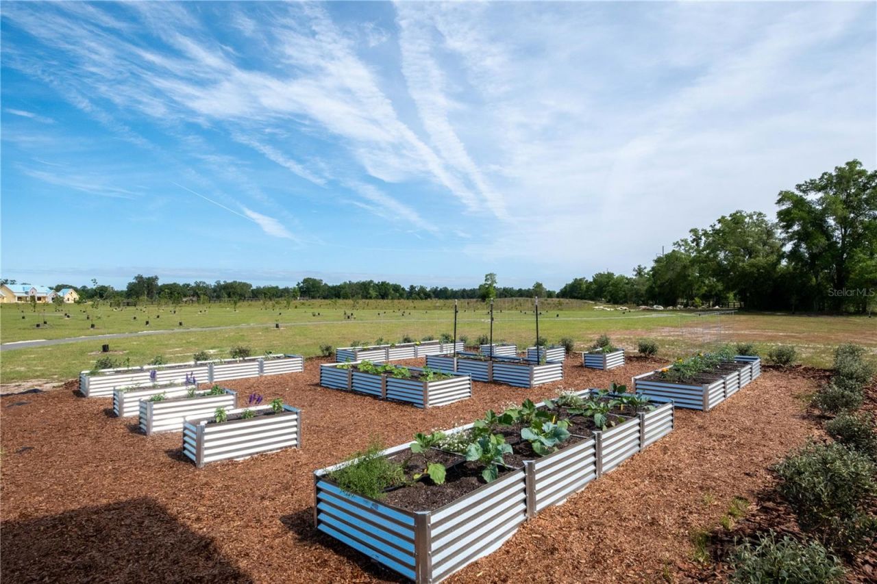 6023 SW 124th Way, Archer, FL 32618 Photo