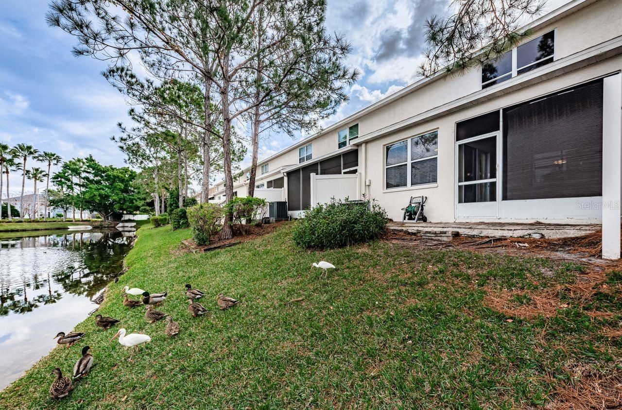 605 Vallance Way Ne, Saint Petersburg, FL 33716 Photo