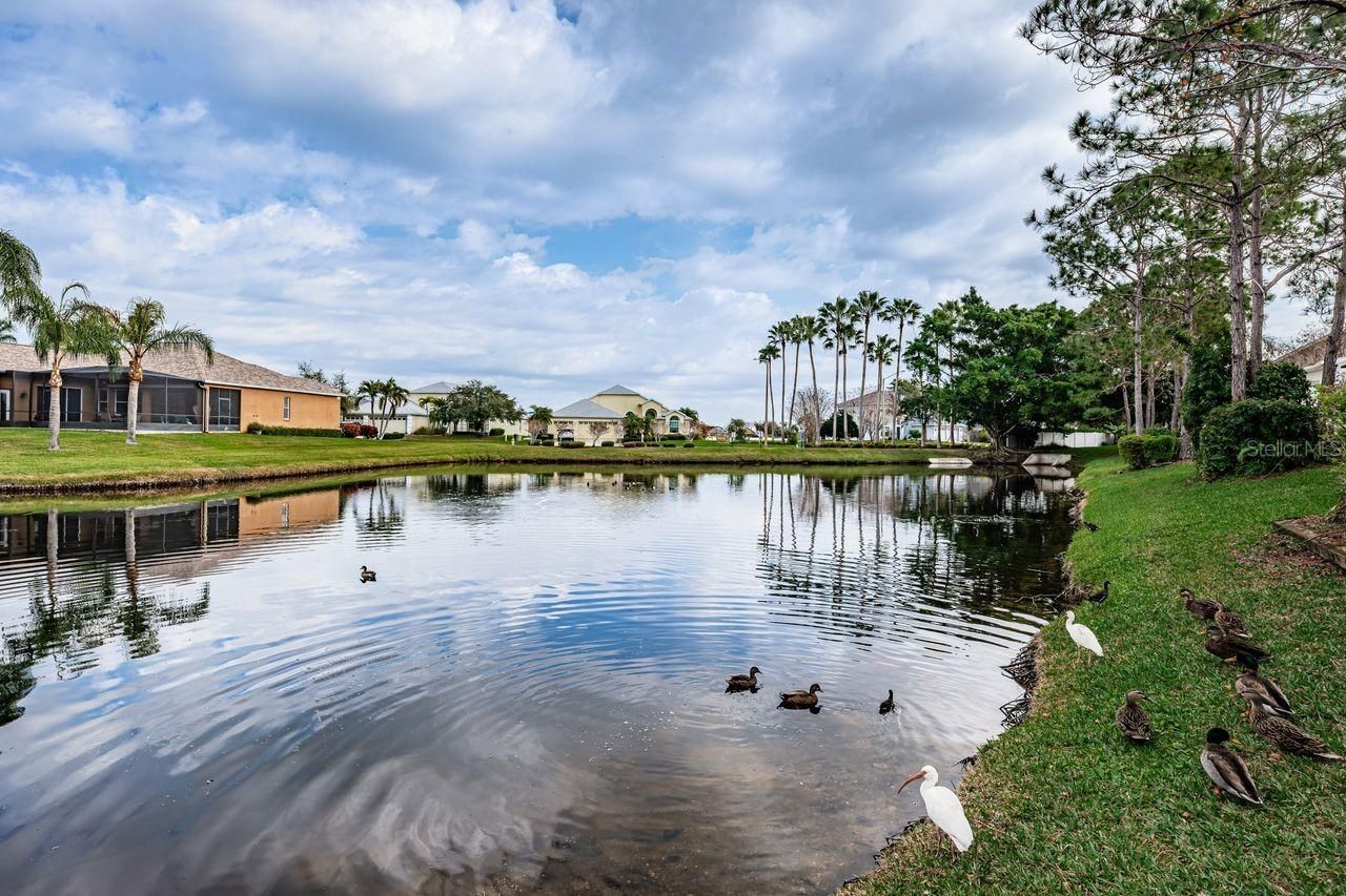 605 Vallance Way Ne, Saint Petersburg, FL 33716 Photo