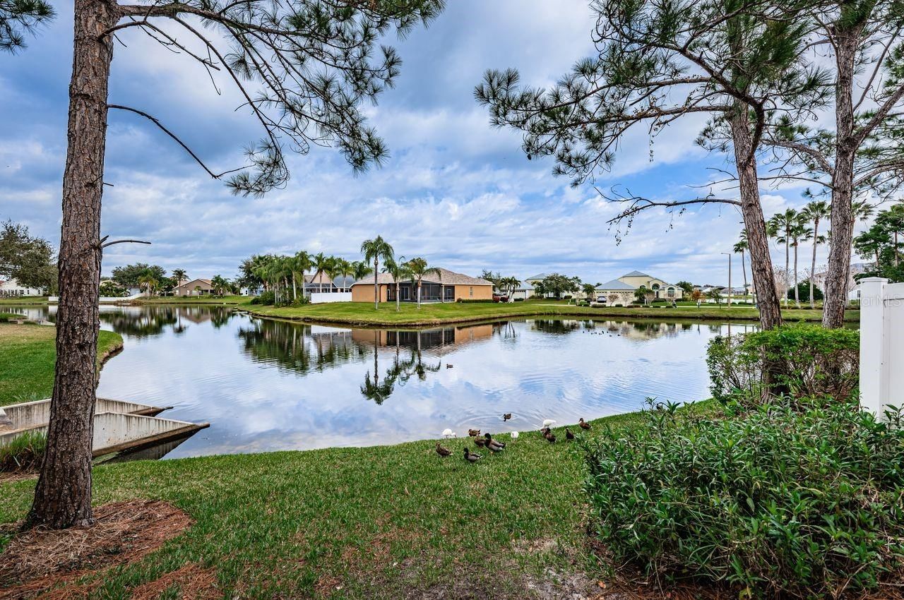 605 Vallance Way Ne, Saint Petersburg, FL 33716 Photo