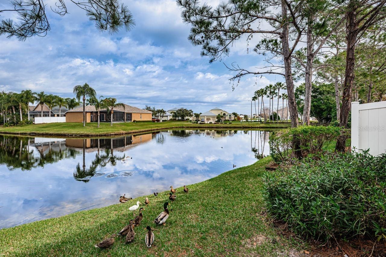 605 Vallance Way Ne, Saint Petersburg, FL 33716 Photo