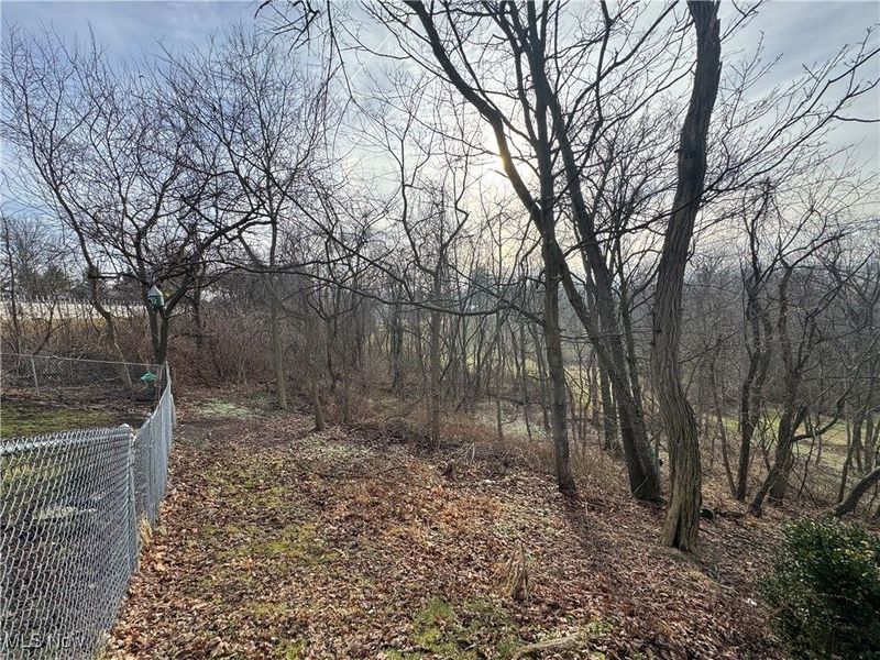 70170 Sunset Heights, Bridgeport, OH 43912 Photo 10