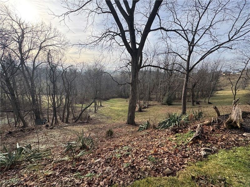 70170 Sunset Heights, Bridgeport, OH 43912 Photo 9