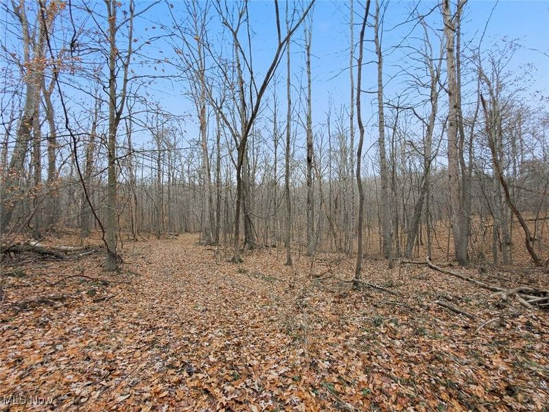 0 Township Rd 318, Corning, OH 43730 Photo 10