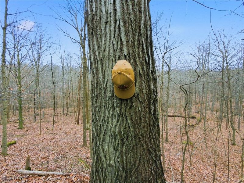 0 Township Rd 318, Corning, OH 43730 Photo 11