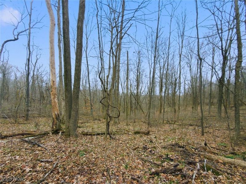 0 Township Rd 318, Corning, OH 43730 Photo 12