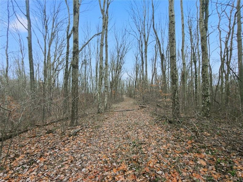 0 Township Rd 318, Corning, OH 43730 Photo 13