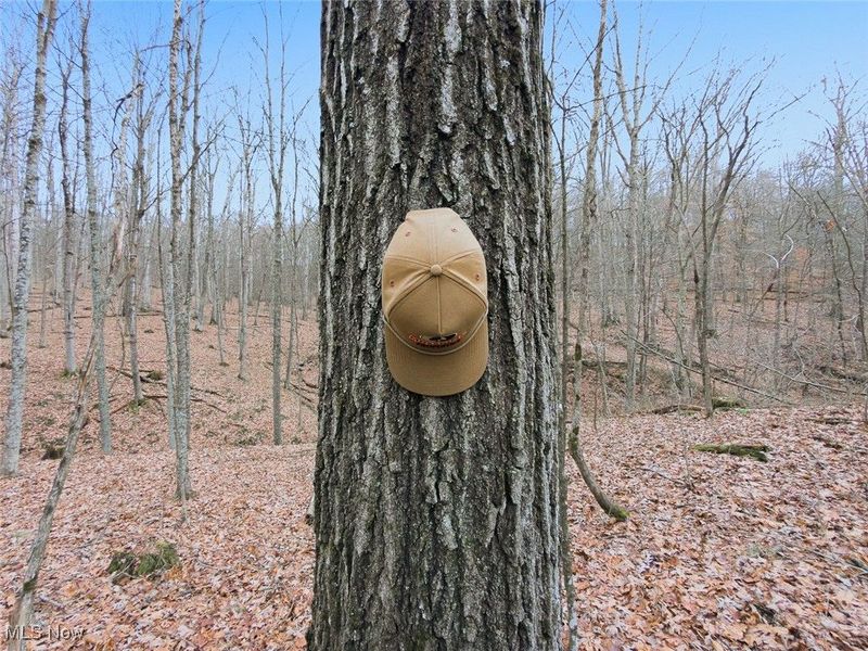 0 Township Rd 318, Corning, OH 43730 Photo 14