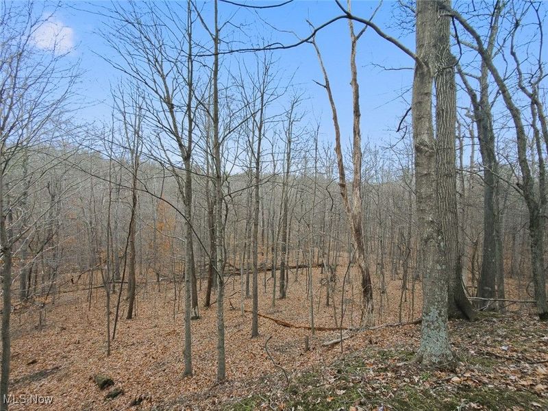 0 Township Rd 318, Corning, OH 43730 Photo 15