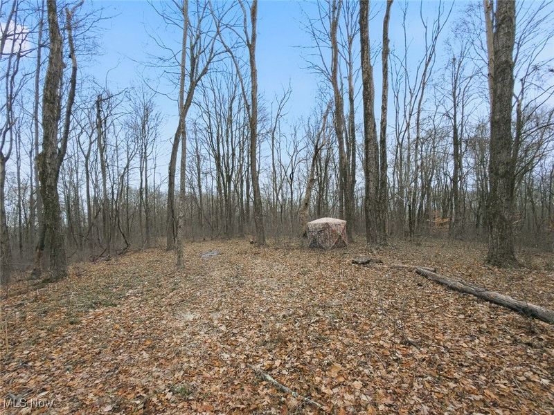 0 Township Rd 318, Corning, OH 43730 Photo 17