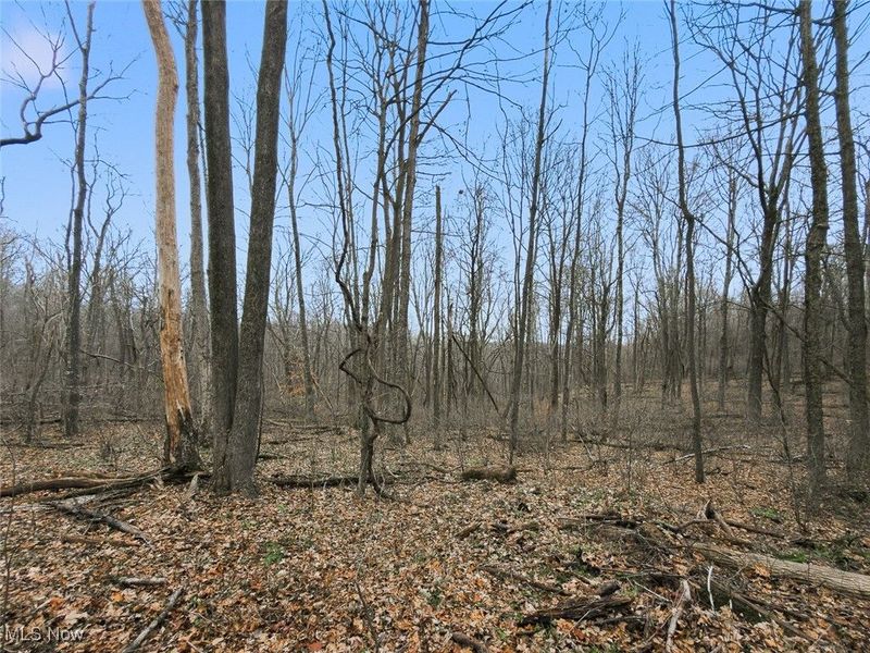 0 Township Rd 318, Corning, OH 43730 Photo 18