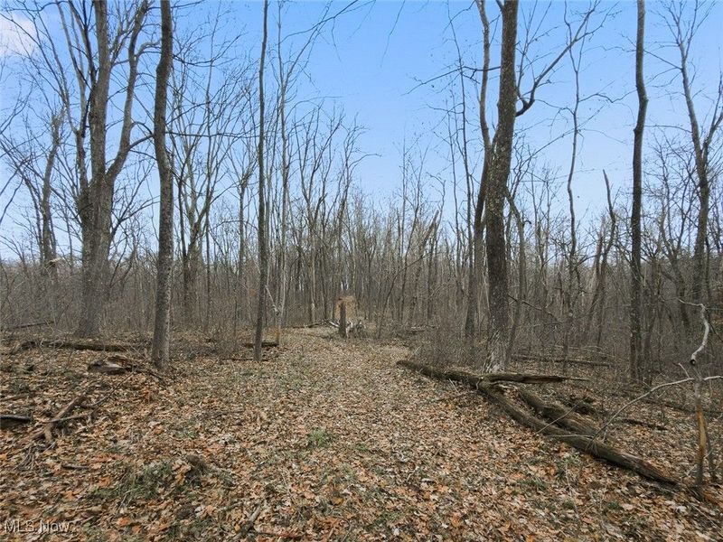 0 Township Rd 318, Corning, OH 43730 Photo 19