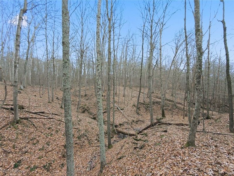 0 Township Rd 318, Corning, OH 43730 Photo 20