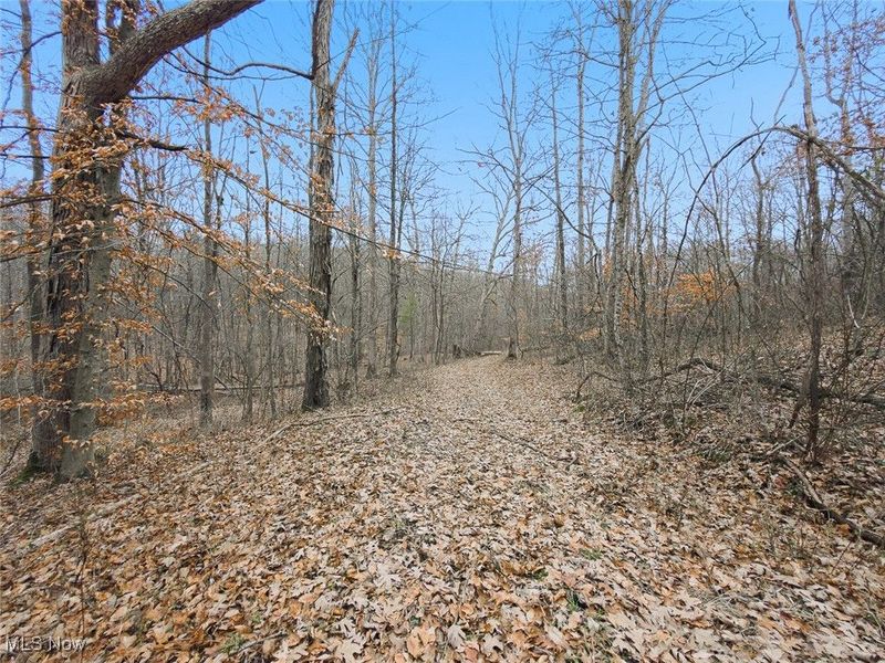 0 Township Rd 318, Corning, OH 43730 Photo 21