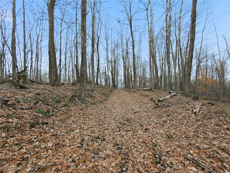 0 Township Rd 318, Corning, OH 43730 Photo 22