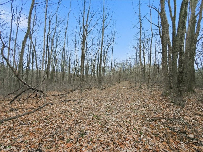 0 Township Rd 318, Corning, OH 43730 Photo 23