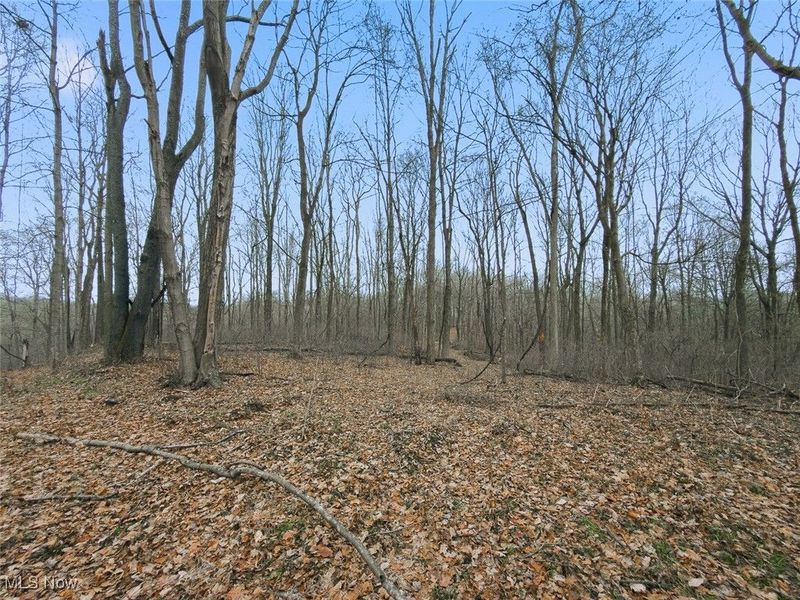 0 Township Rd 318, Corning, OH 43730 Photo 24