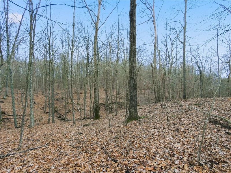 0 Township Rd 318, Corning, OH 43730 Photo 25