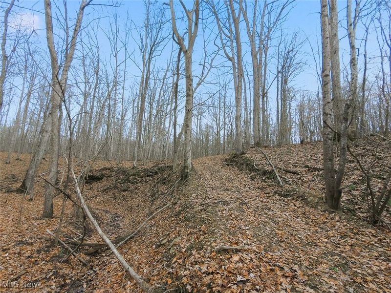 0 Township Rd 318, Corning, OH 43730 Photo 26