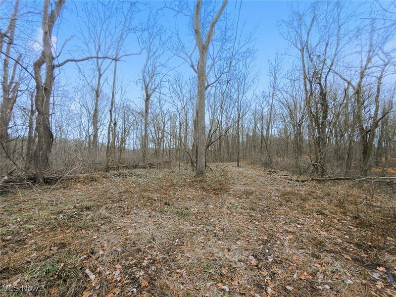 0 Township Rd 318, Corning, OH 43730 Photo 27