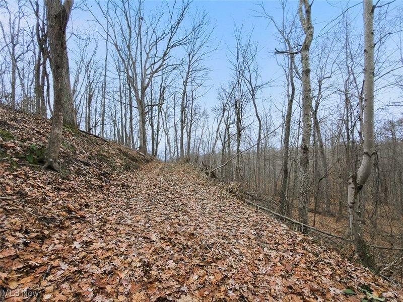 0 Township Rd 318, Corning, OH 43730 Photo 28