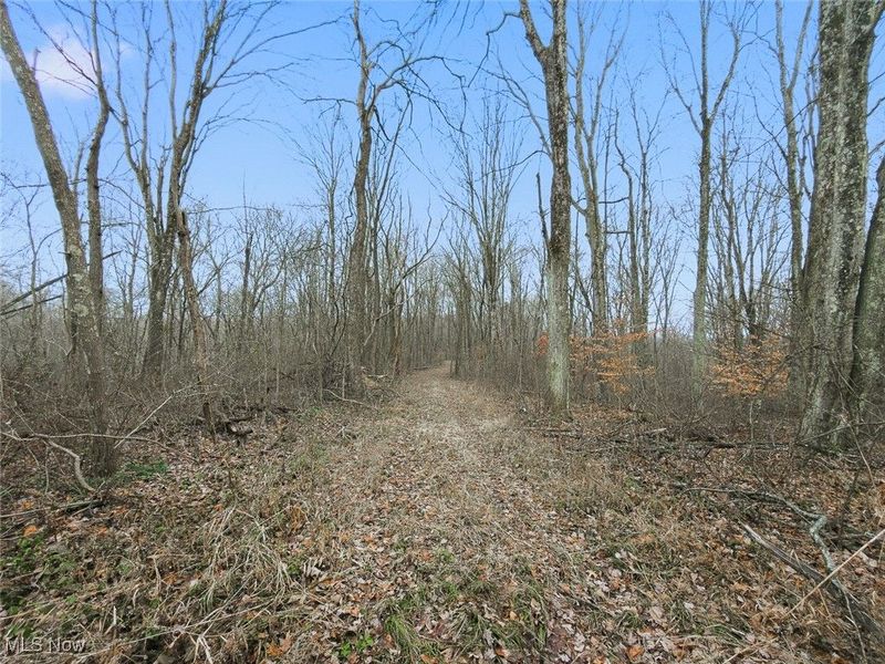 0 Township Rd 318, Corning, OH 43730 Photo 29