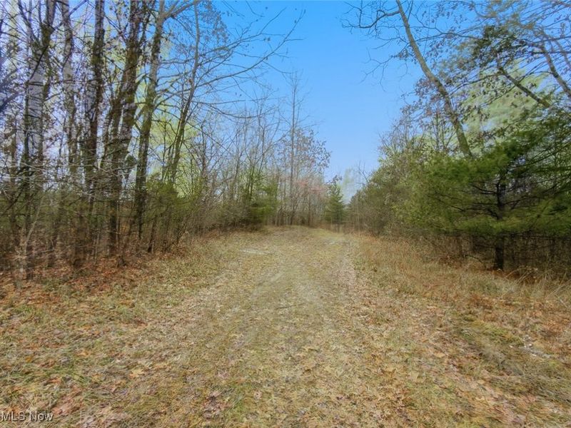 0 Township Rd 318, Corning, OH 43730 Photo 3