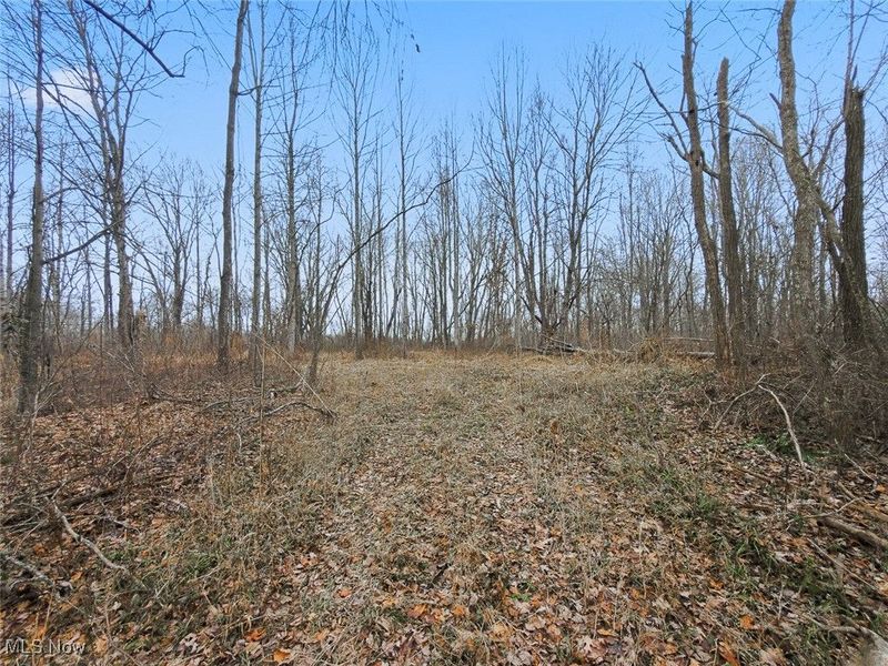 0 Township Rd 318, Corning, OH 43730 Photo 30