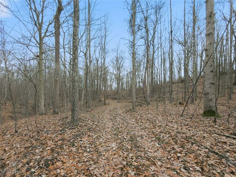 0 Township Rd 318, Corning, OH 43730 Photo 31