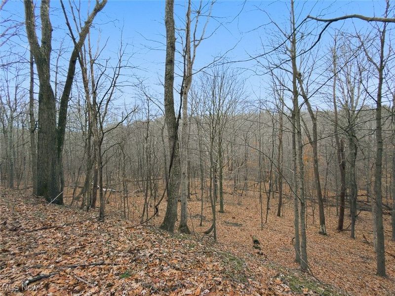 0 Township Rd 318, Corning, OH 43730 Photo 32