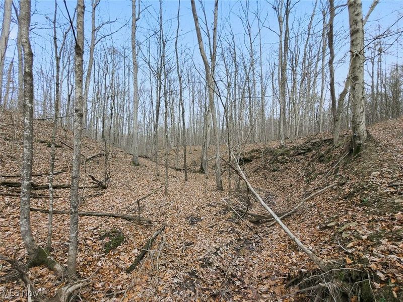 0 Township Rd 318, Corning, OH 43730 Photo 33