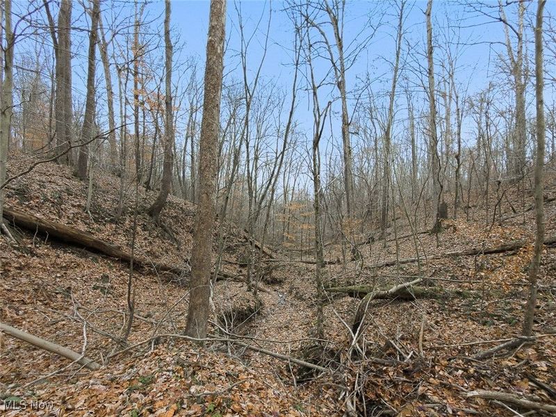 0 Township Rd 318, Corning, OH 43730 Photo 34