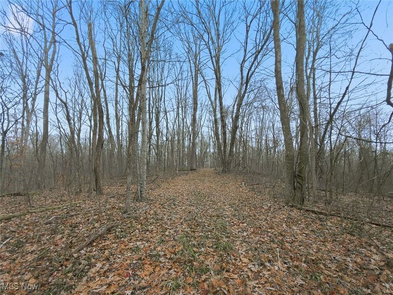0 Township Rd 318, Corning, OH 43730 Photo 35