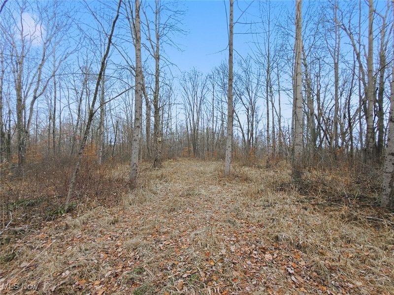 0 Township Rd 318, Corning, OH 43730 Photo 36