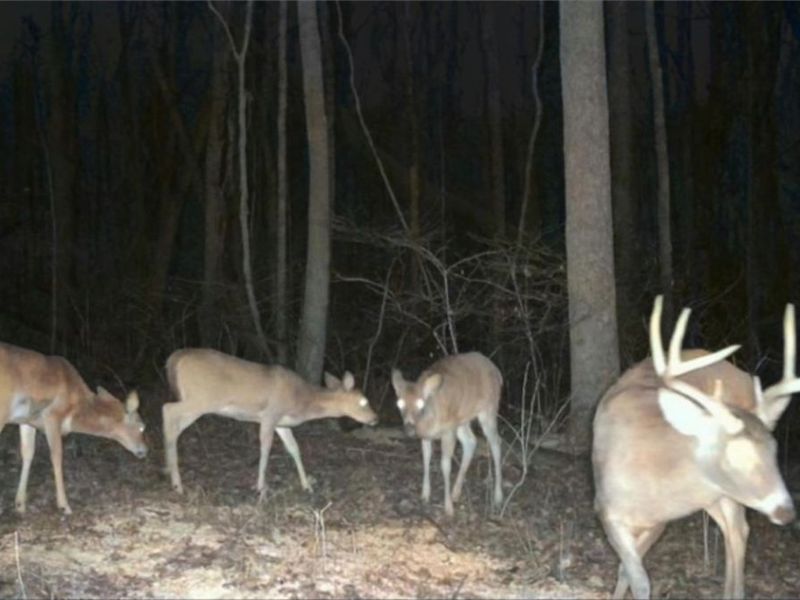 0 Township Rd 318, Corning, OH 43730 Photo 38