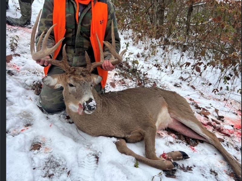 0 Township Rd 318, Corning, OH 43730 Photo 39