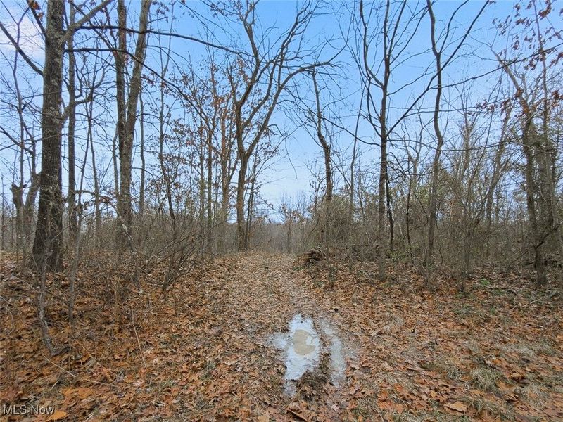 0 Township Rd 318, Corning, OH 43730 Photo 6