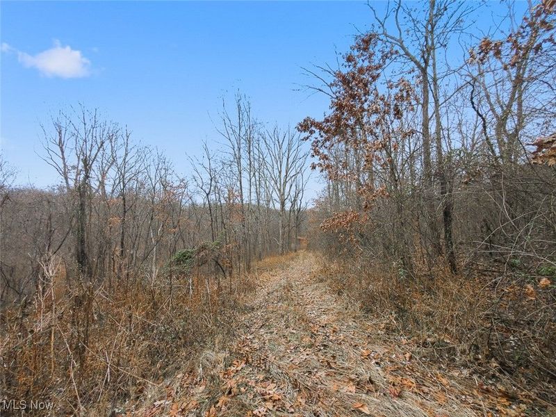 0 Township Rd 318, Corning, OH 43730 Photo 7