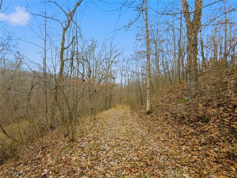 0 Township Rd 318, Corning, OH 43730 Photo 8