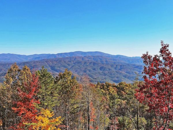 4951 Look Rock Crest Drive, Maryville, TN 37803